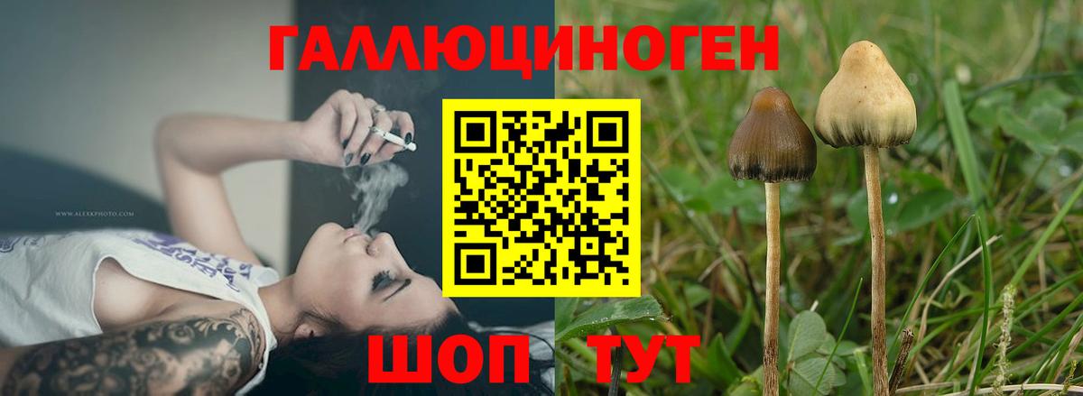 Галлюциногенные грибы прущие грибы  Вход с VPN  Воскресенск 
